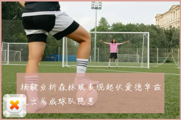 杨毅分析森林狼表现起伏爱德华兹复出或成球队隐患